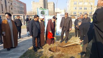 امام جمعه تبریز : مشارکت مردمی در درختکاری نشانه توجه به محیط زیست است