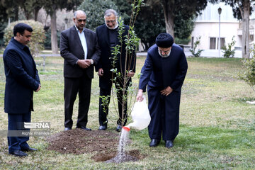 Journée de l'Arbre