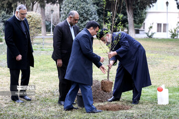 Presidente iraní planta un árbol joven