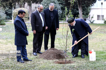 Presidente iraní planta un árbol joven