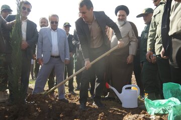 ۴۵۰هزار اصله نهال جنگلی  در کهگیلویه و بویراحمد غرس شد