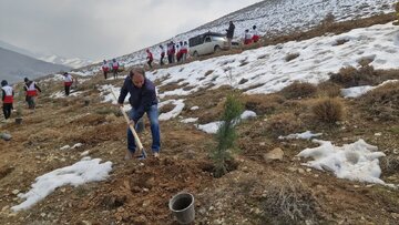 آیین روز درختکاری در بوستان کوهستان کش‌زر شهر دماوند برگزار شد