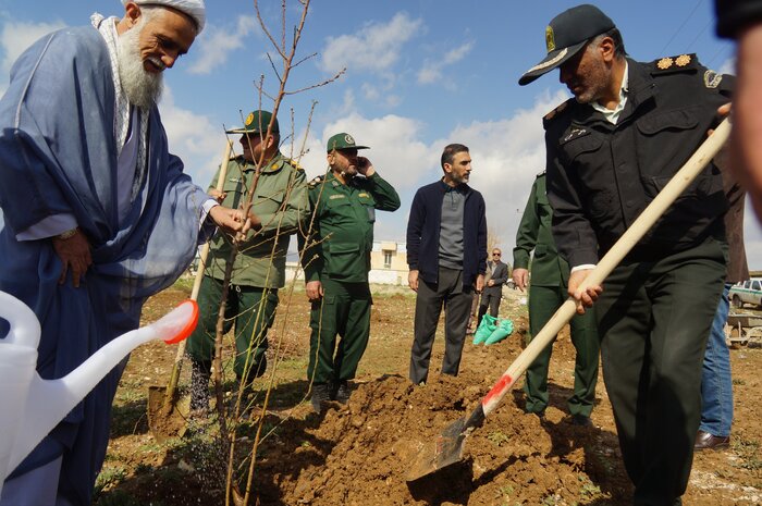 ۴۵۰هزار اصله نهال جنگلی  در کهگیلویه و بویراحمد غرس شد