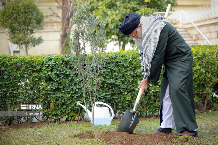 سهم آذربایجان شرقی کاشت ۱۴میلیون اصله نهال است