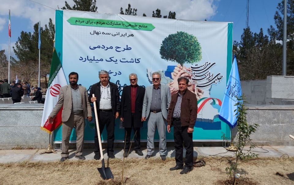 ۸۰۰ هزار اصله نهال برای کشت در سیستان و بلوچستان آماده شد