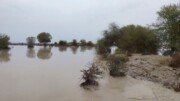 فیلم | خسارت هشت هزار میلیارد ریالی باران و سیلاب به بخش کشاورزی بلوچستان