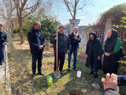 کاشت درخت به یاد هنرمندان فقید و پیشکسوت هنرهای نمایشی