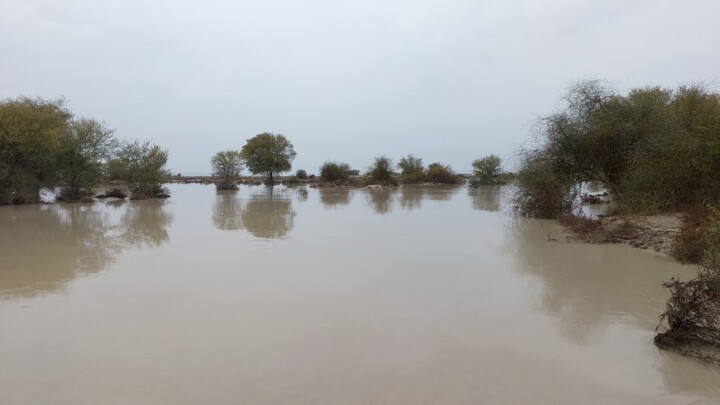 ۳۰ میلیارد مترمکعب آب حاصل بارندگی سه ماه اخیر سیستان و بلوچستان بود