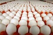 چهار تن تخم مرغ قاچاق در سیریک هرمزگان کشف شد