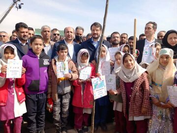 کاشت پنج هزار درخت در طرح‌های وزارت راه و شهرسازی با دستور وزیر آغاز شد