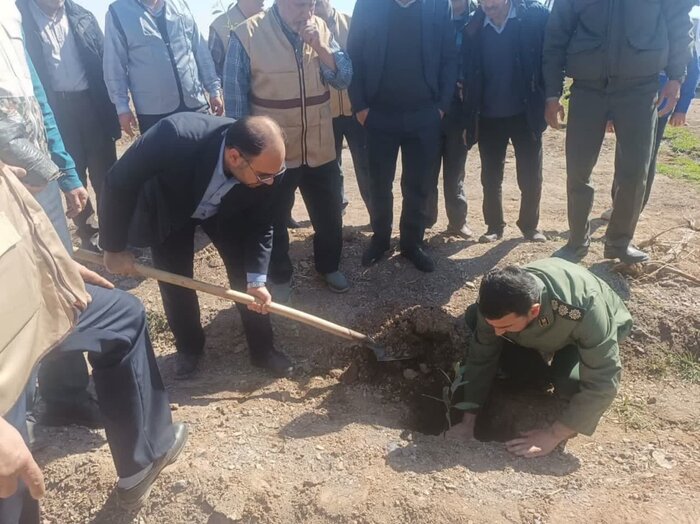 رییس اداره منابع طبیعی: ۱۴ هزار اصله درخت در اردستان کاشته شد