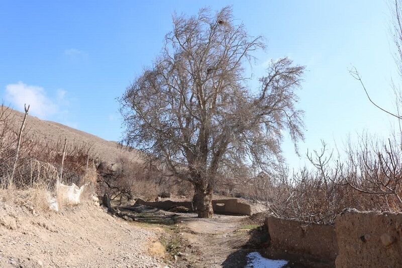  ۲ اثر طبیعی خراسان‌شمالی در فهرست آثار ملی قرار گرفت