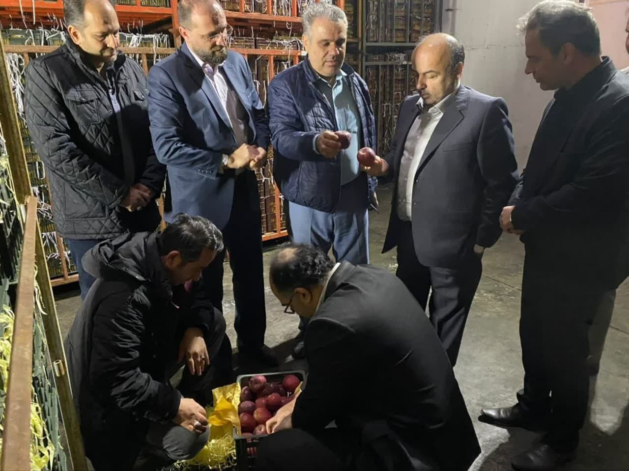 معاون استاندار قزوین: مشکلی در توزیع میوه شب عید نداریم
