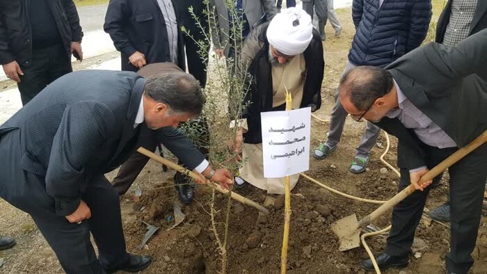 کاشت نهال در بابلسر به یاد «آیت الله سلیمانی»