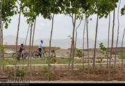 ضرورت حفاظت از عنوان شیراز پایتخت زیست محیطی آسیا