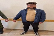 عاملان قمه کشی در پارک زنجان روانه زندان شدند
