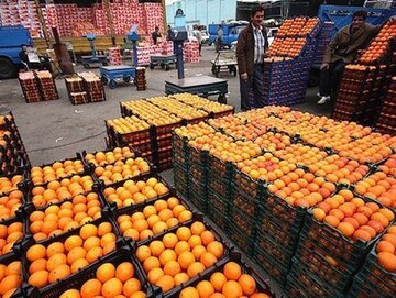 توزیع میوه شب عید در ورامین آغاز شد