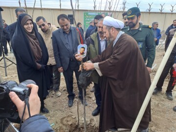 ۲۰ هزار نهال در محوطه نیروگاه برق شهید مفتح همدان کاشته شد
