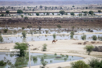 Iran: le Croissant-Rouge continue de porter secours aux victimes des inondations au Sistan-Baloutchistan