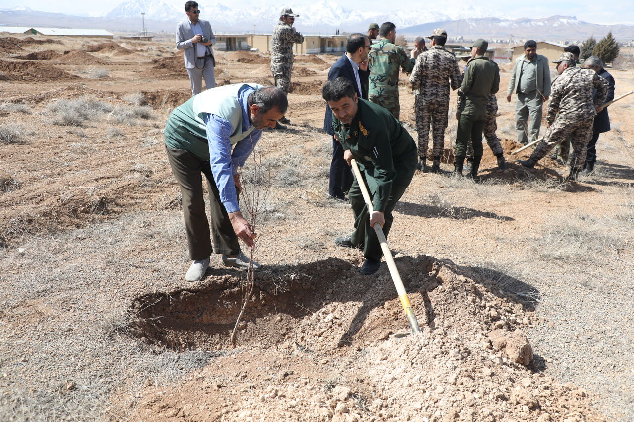 ۲۵۶هزار اصله نهال توسط جهادگران در چهارمحال و بختیاری کاشته شد