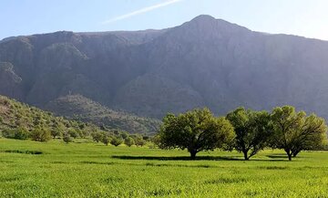 دشت سوسن در ایذه، بهشت سرسبز خوزستان