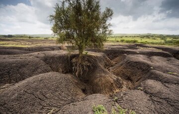 فیلم | فرسایش خاک و سیل، عوامل تهدید کننده حوزه آبخیز مازندران