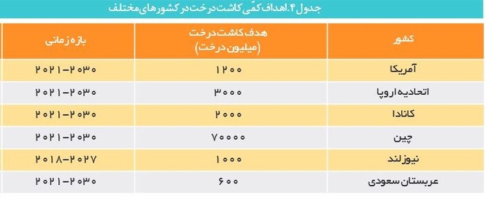 کشورهای مختلف برای کاشت درخت چه کرده‌اند؟