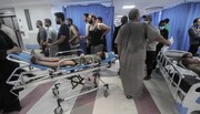 Число жертв в Газе достигло 31 184 человека