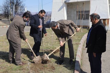 ۱۸۶ اصله نهال به نیت شهدای ورزشکار استان اردبیل غرس شد