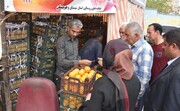 ۱۷۰ تن میوه شب عید در سیستان و بلوچستان تامین شد