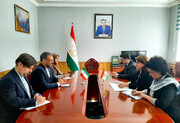 حوزه فرهنگ یکی از مهمترین عرصه های همکاری ایران و تاجیکستان است