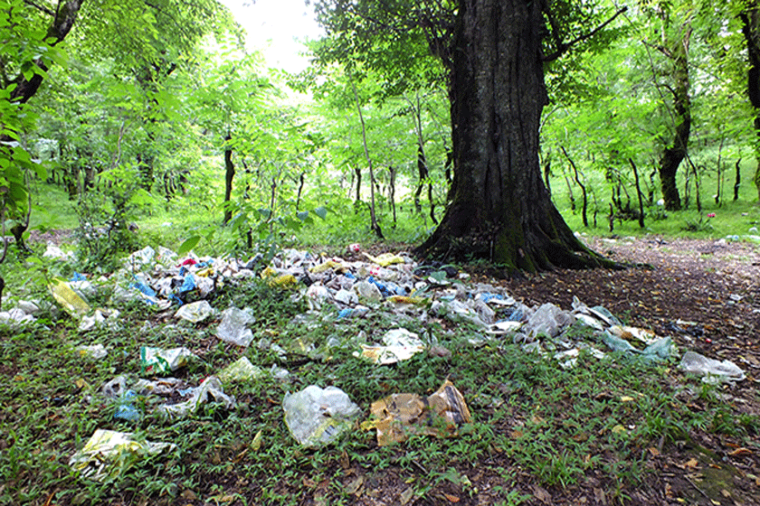 لطفا با زباله به جنگ طبیعت نرویم