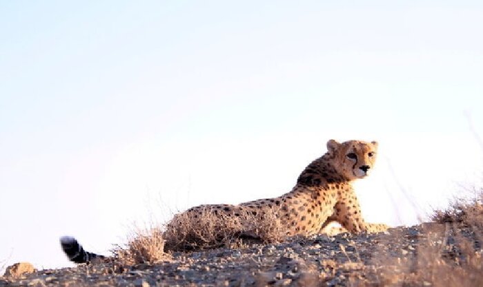 ٧۴درصد شهرکهای صنعتی فاقد تصفیهخانه/اجرای طرح زنان برای زنان