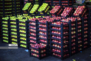 توزیع ۲۵۰ تن میوه شب عید در خراسان‌شمالی آغاز شد