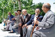سند ملی سالمندان در استان بوشهر اجرایی می‌شود