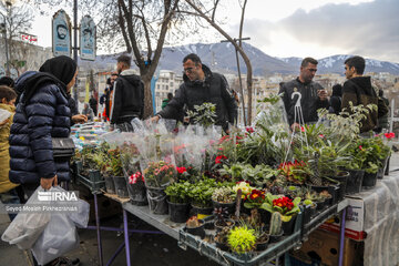 El bazar de Sananday en vísperas del Año Nuevo