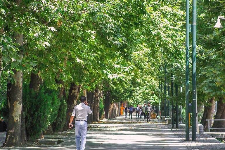 هیچ درختی برای احداث مسجد در پارک قیطریه قطع یا جابجا نمی‌شود