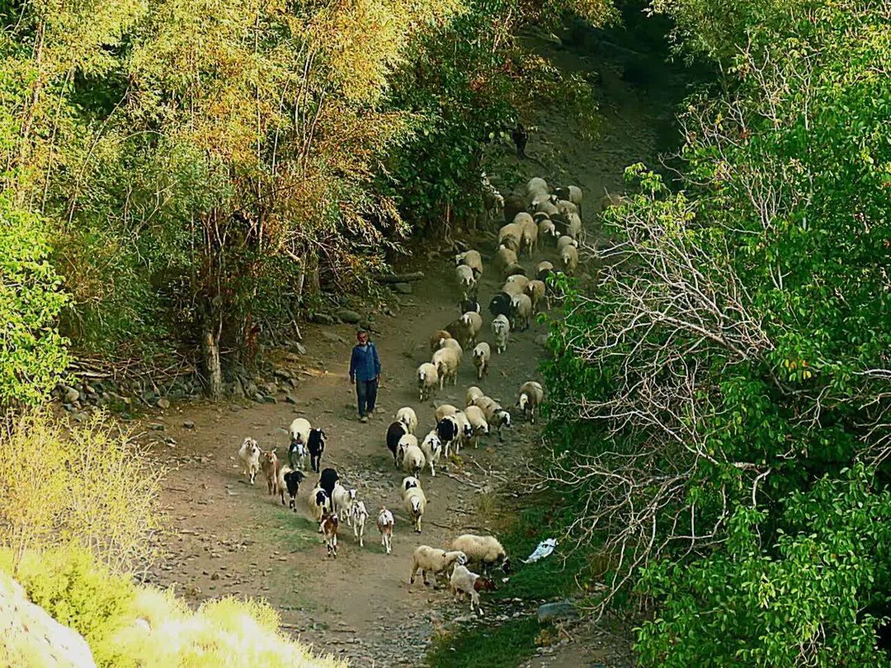 روستای پلکانی کرمان را بشناسید