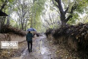 بیشترین بارندگی شاهرود به میزان ۵۰ میلیمتر در تاش ثبت شد