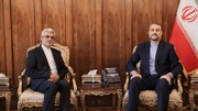 Iran’s new envoy to Niger meets FM Amirabdollahian