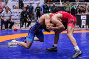 Iran wins Turkiye wrestling championship with 12 medals