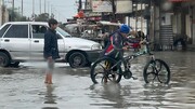 بارندگی باعث آبگرفتگی معابر شادگان شد