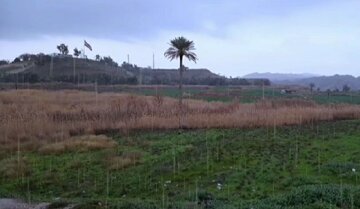 رطوبت هوا در شهرستان مرزی قصرشیرین به ۱۰۰ درصد رسید