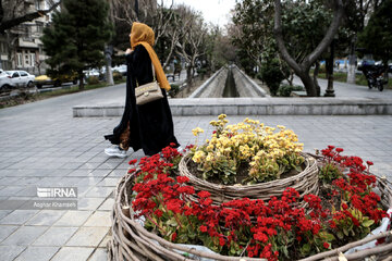 Flores de primavera en Teherán