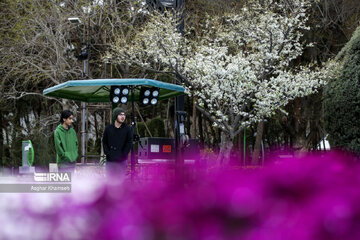 Flores de primavera en Teherán