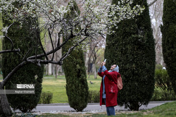 Flores de primavera en Teherán