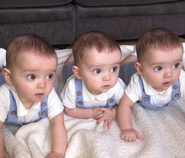 چندقلوزایی راهکار جلوگیری از کاهش جمعیت/کدام استانها در صدر قرار دارند