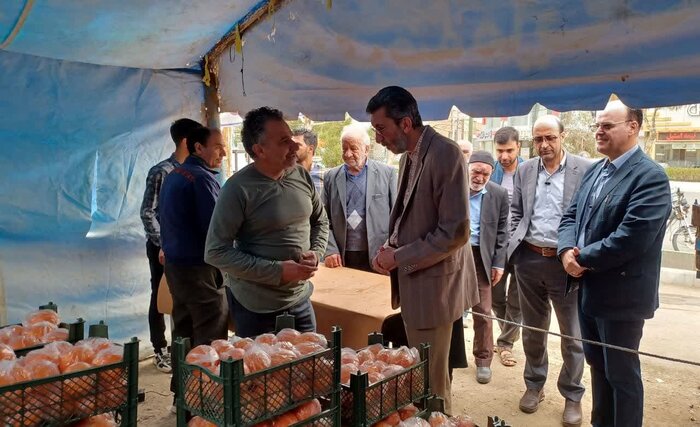 ۳۲۷ تن میوه شب عید در قم توزیع می شود/لزوم نظارت بیشتر بر بازار