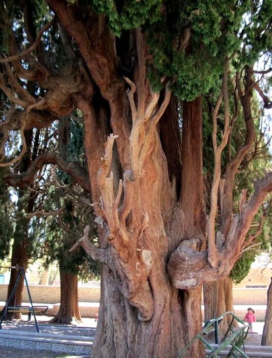 روستاهای ییلاقی راور، معجزهای در دل کویر