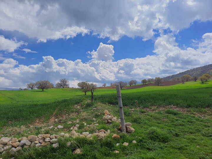 ظرافت زمستان و زیبایی بهار